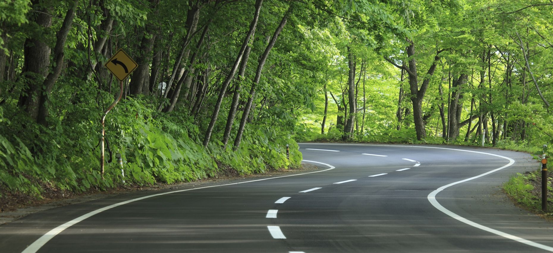 PERFORMANSE I EKOLOGIJA RUKU POD RUKU